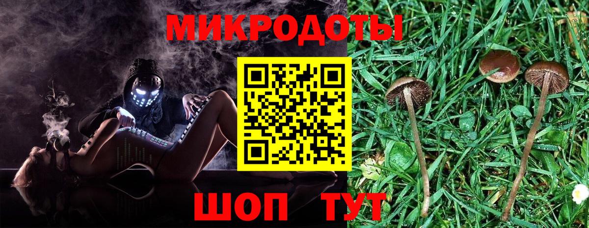 Псилоцибиновые грибы Magic Shrooms Славянск-на-Кубани