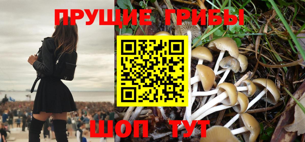 хочу   Вход с VPN  Славянск-на-Кубани  Псилоцибиновые грибы MAGIC MUSHROOMS 